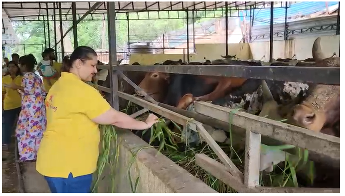 Cow Care in Thane — Dignity, Rescue & Lifelong Care